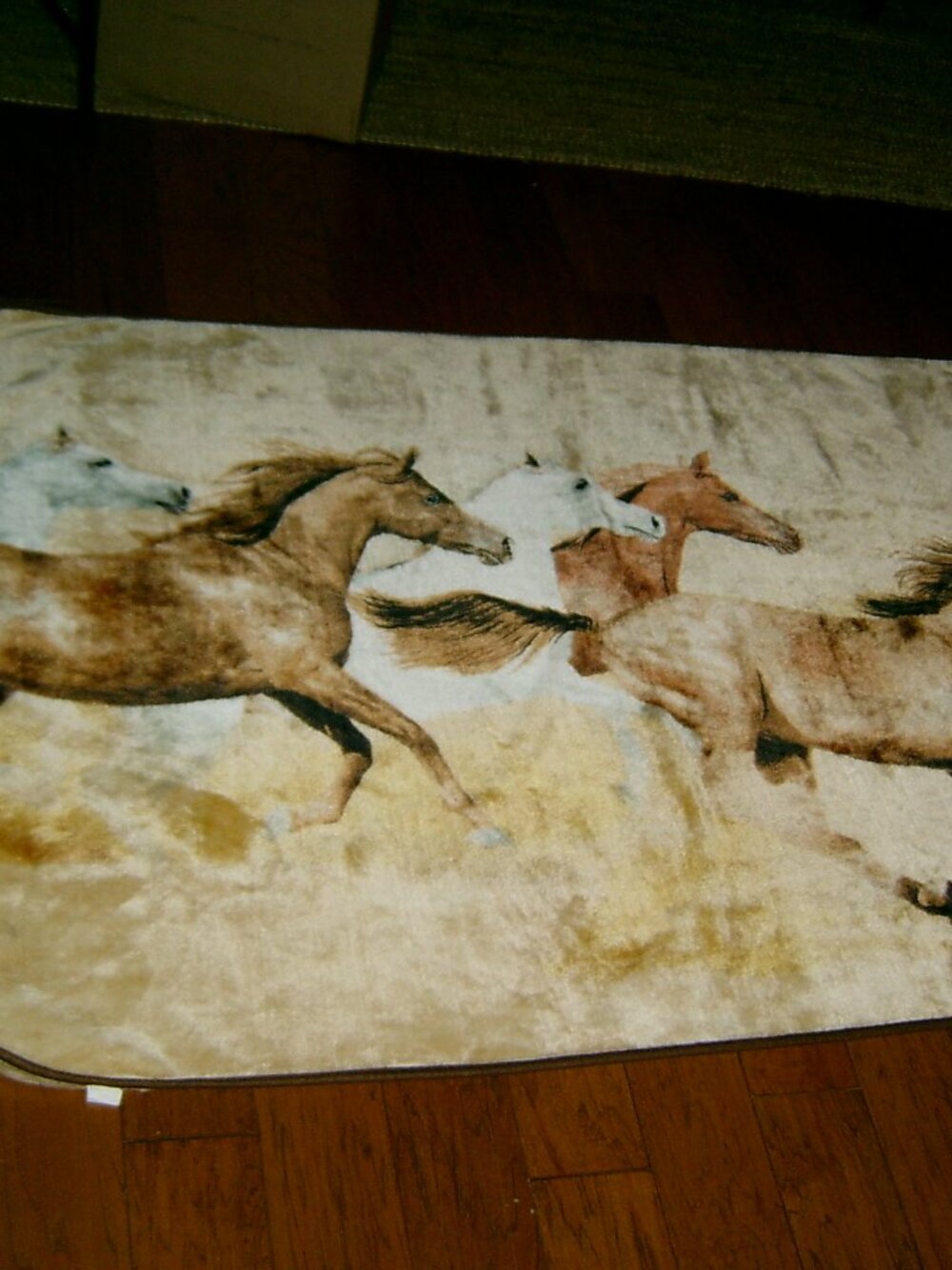 Horse Blanket Throw 46 x 69", EUC